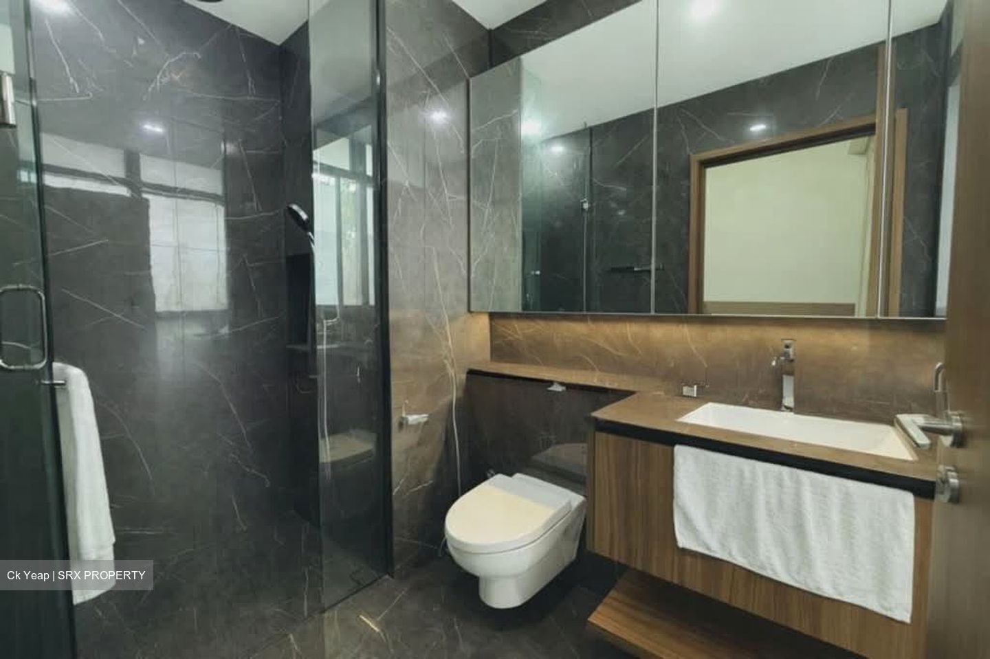 Phoenix Residences (D23), Apartment #554244551